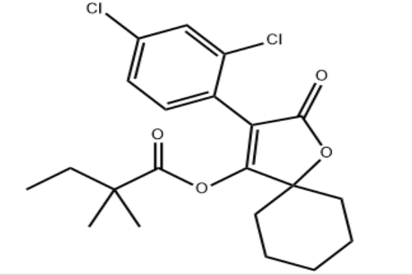 江苏有实力的2价格